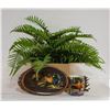 Image 1 : SWORD FERN IN WOODEN POT FAUX PLANT + WOODEN