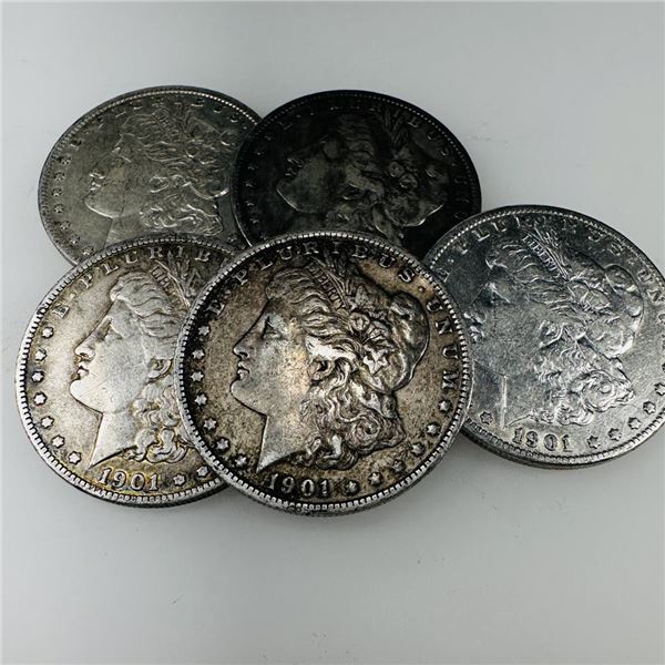 1901 Morgan Silver Dollar (VG+) Set of 5