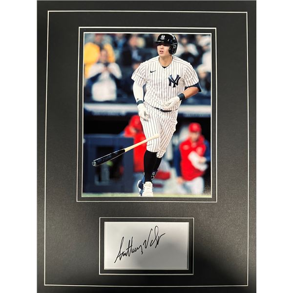 Anthony Volpe Autographed Display