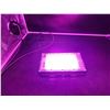 Image 1 : Makevivi Black Lights 100w