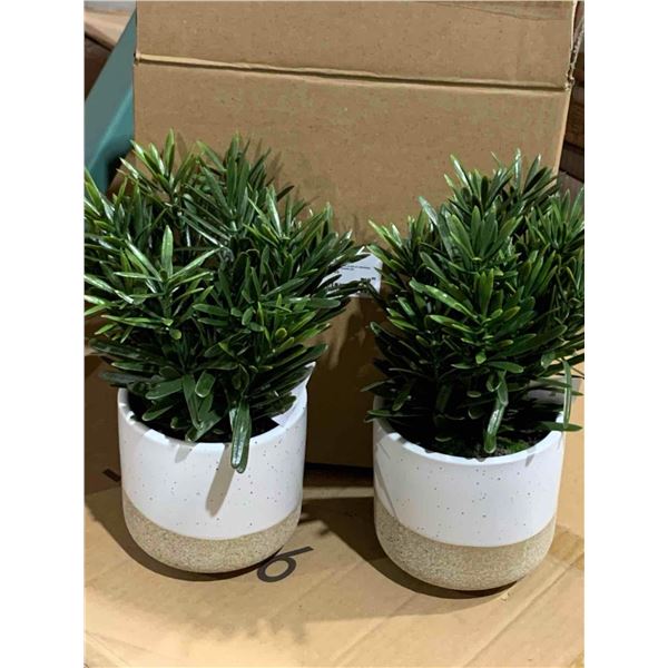 Bouclair Lot of 2 Decorative Ceramic Potted Plants