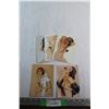 Image 1 : (5) Pin Up Girl Post Cards