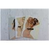 Image 2 : (5) Pin Up Girl Post Cards