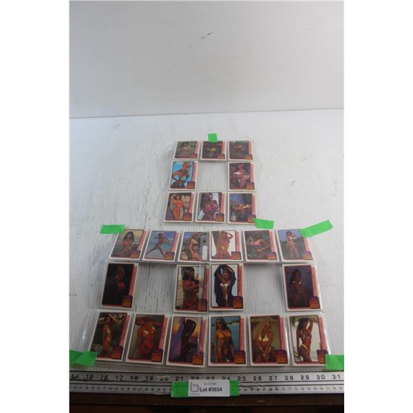 (24) The Open Bikini Trading Cards