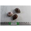 Image 1 : (3) Decorative Sea Shells