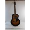 Image 1 : Beaver Creek Guitar - Model BCTFIOISB