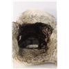 Image 3 : Wind River Faux Fur Toque- M
