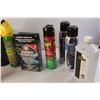 Image 2 : Chemicals Lot- Raid, Glass Cleaners, Carpet Cleaner, Misc.