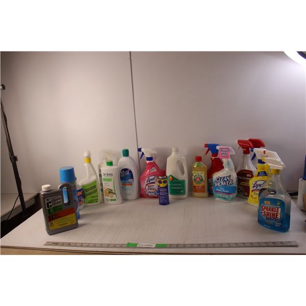 Chemicals Lot- CLR, Insect Control, Wood Cleaner, Glass Cleaner, Misc.