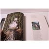 Image 2 : The Auduborn Society Book of Wild Birds - Hardcover