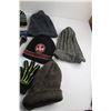 Image 5 : (9) Winter Toques and (3) Pairs of Gloves, Variety Lanyards