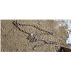 Image 3 : 20' load binder chain w/ end hooks