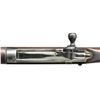 Image 3 : WINCHESTER 1895 LEE NAVY STRAIGHT PULL BOLT ACTION