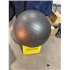 Image 1 : Exercise ball