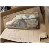 Image 1 : Petrified wood