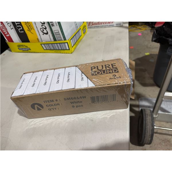 Earbuds Pro white nine piece