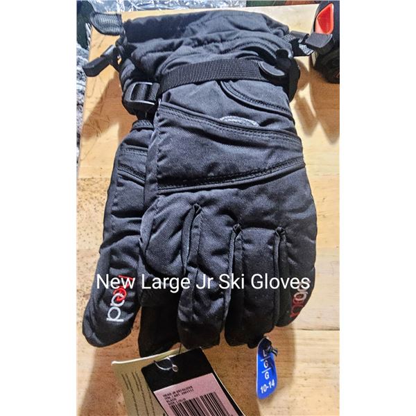 Ski Gloves
