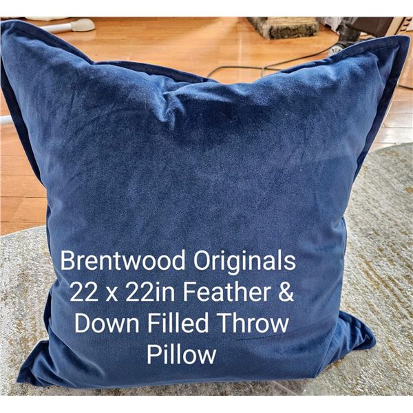Throw Pillow