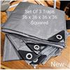 Image 1 : Traps