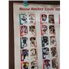 Image 2 : Retro Hockey Cards 1999-2000 Poster