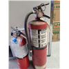 Image 1 : Two Fire Extinguishers Fully Charged but Not Recently Certified
