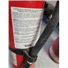 Image 8 : Two Fire Extinguishers Fully Charged but Not Recently Certified