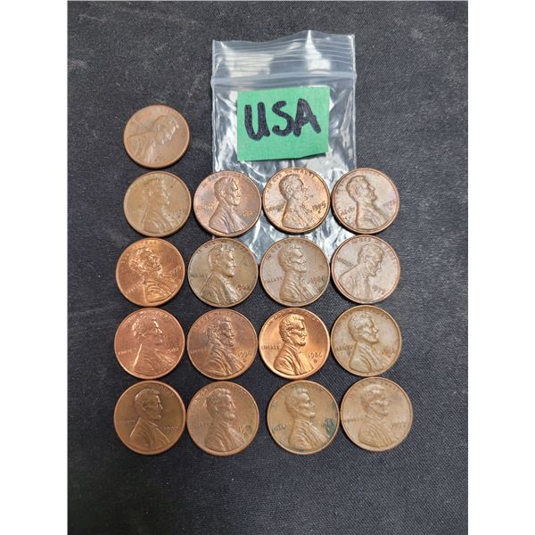 Lot of 17 USA Cents