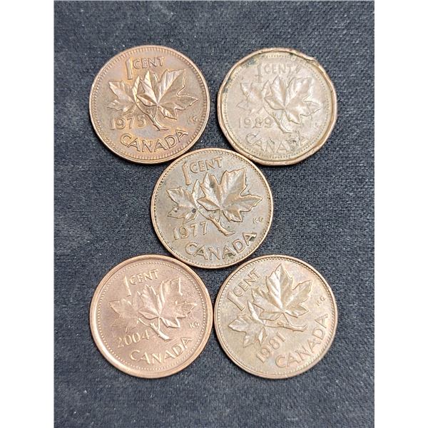 Lot of 5 Canada Pennies - Dates; 1975, 1989, 1977, 2004, 1981 Coins