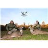 Image 2 : Five Star Ohio Whitetail Hunt for 2 Hunters for 3 days and 4 Nights