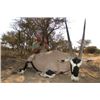 Image 1 : Northern Cape South Africa Hunt for 4 hunters 7 days, includes Taxidermy credit