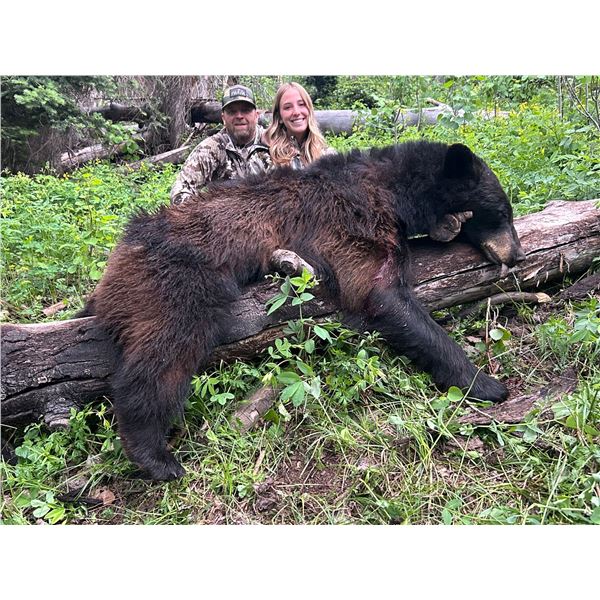 Utah Black Bear Chalk Creek/East Canyon/Morgan-South Rich- Multi Season Conservation Tag