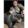 Image 1 : Texas Hog Hunt