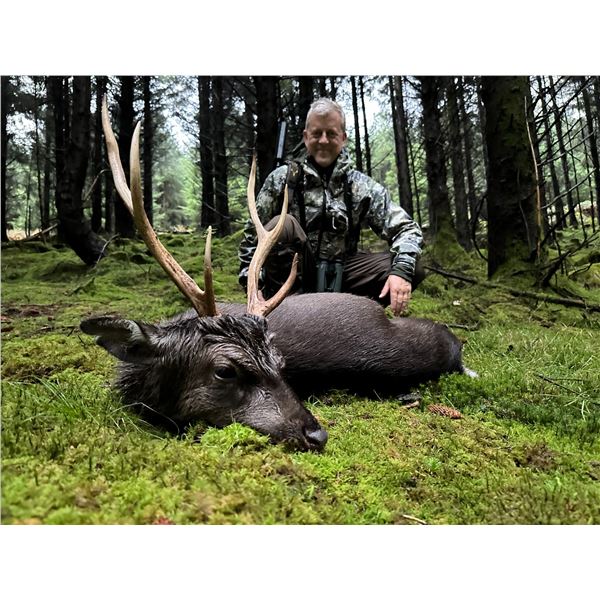 Ireland Sika Deer Hunt 2 deer 4 Day