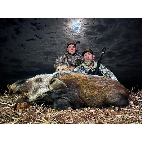 Limpopo NIGHT hunt for 1 hunter  1 observer 10 day