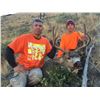 Image 2 : 5-day Orgeon Mule Deer Hunt for 2 Hunters