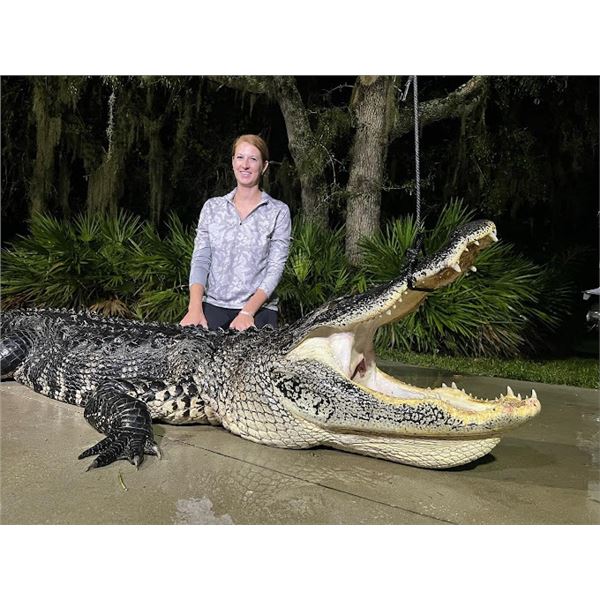 3-day Gator hunt in Florida for 1 hunter 1 observer