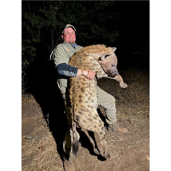 7-night Hyena Hunt in Zimbabwe for 1 hunter