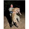 Image 1 : 7-night Hyena Hunt in Zimbabwe for 1 hunter