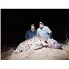 Image 4 : 7-night Hyena Hunt in Zimbabwe for 1 hunter