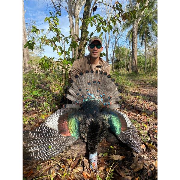 6-day Ocellated Turkey for 2 hunters 1 observer