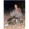 Image 4 : 6-day Ocellated Turkey for 2 hunters 1 observer
