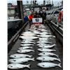 Image 3 : 3-day BC Deep Sea Fishing trip for 2 anglers
