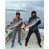 Image 4 : 3-day BC Deep Sea Fishing trip for 2 anglers