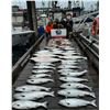 Image 7 : 3-day BC Deep Sea Fishing trip for 2 anglers