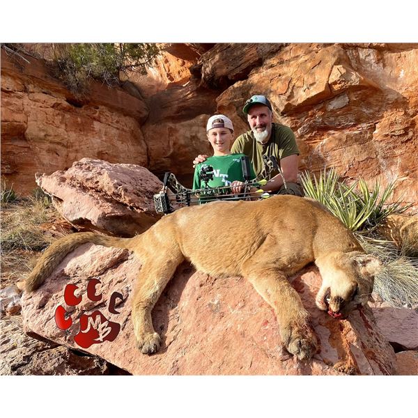 5-day Cougar Hunt in UT or AZ with Mossback Outfitters for 1 hunter
