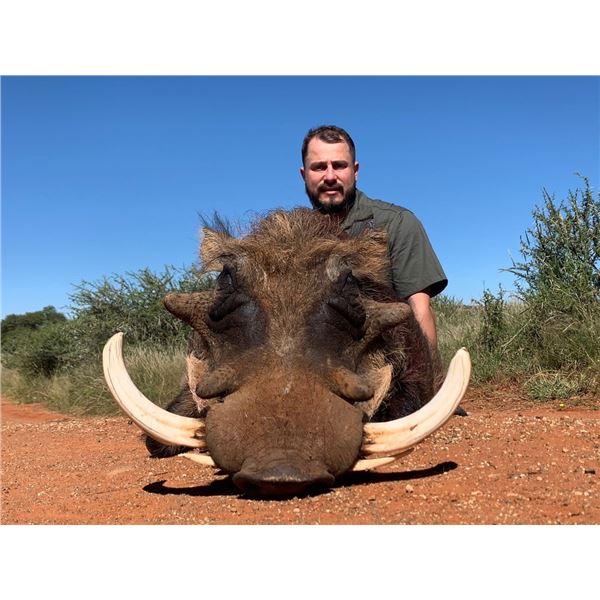 6-day African Safari with Liam Urry for 4 hunters