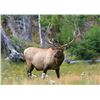 Image 1 : -Utah Conservation Elk Permit-