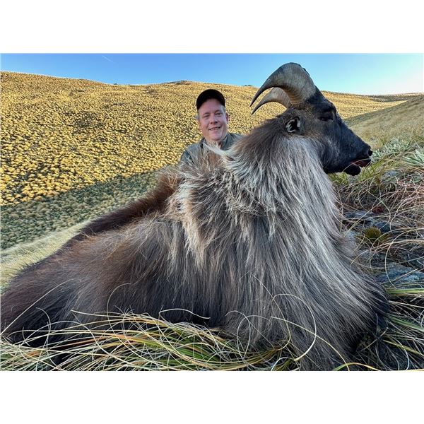 4-day New Zealand Bull Tahr for 1hunter and 1 observer