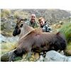 Image 2 : 4-day New Zealand Bull Tahr for 1hunter and 1 observer