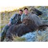 Image 4 : 4-day New Zealand Bull Tahr for 1hunter and 1 observer